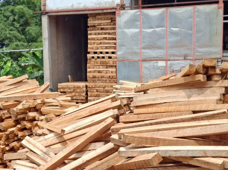Madera de balsa en las instalaciones de Borazo